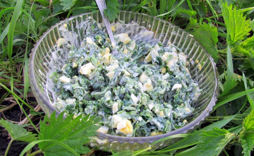 вкусные овощные блюда рецепты салат из крапивы