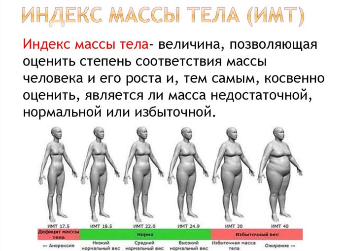 как правильно рассчитать индекс массы тела